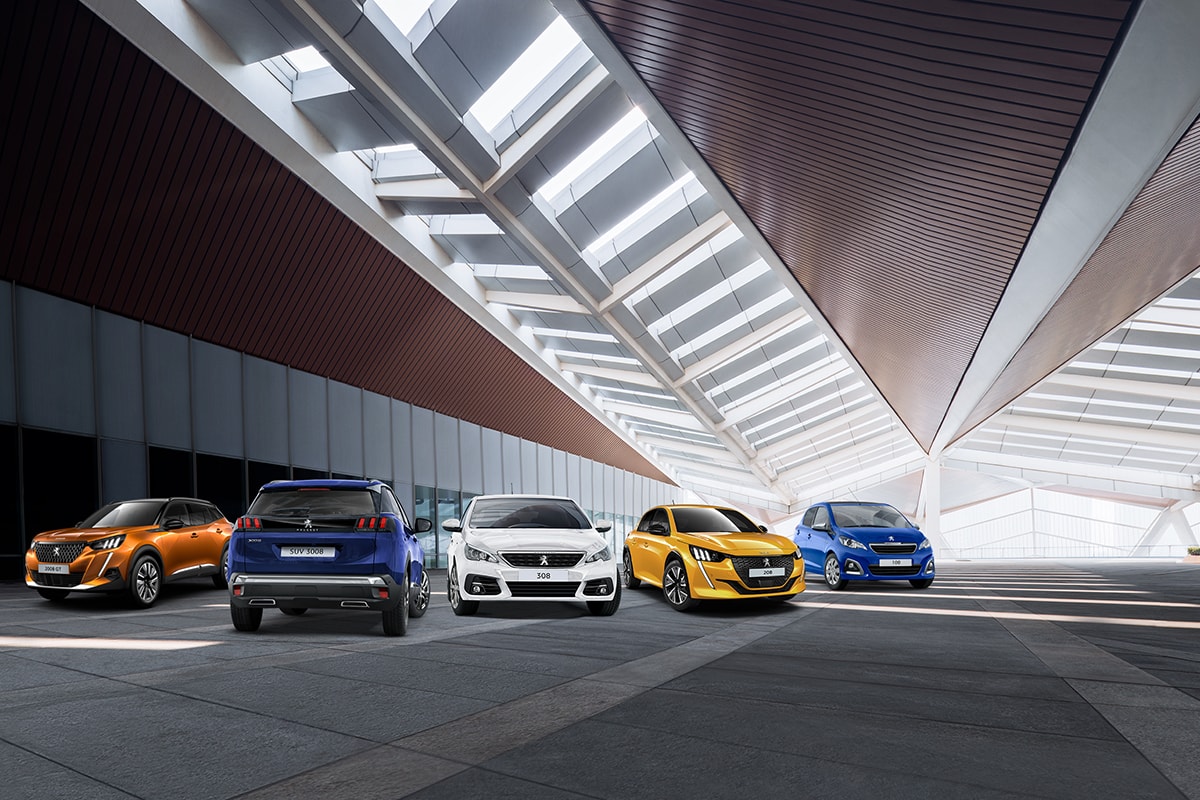 KFZ-Meister/KFZ-Techniker (m/w/d)